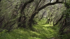 LA RESERVE NATURELLE REGIONALE DE MAHISTRE